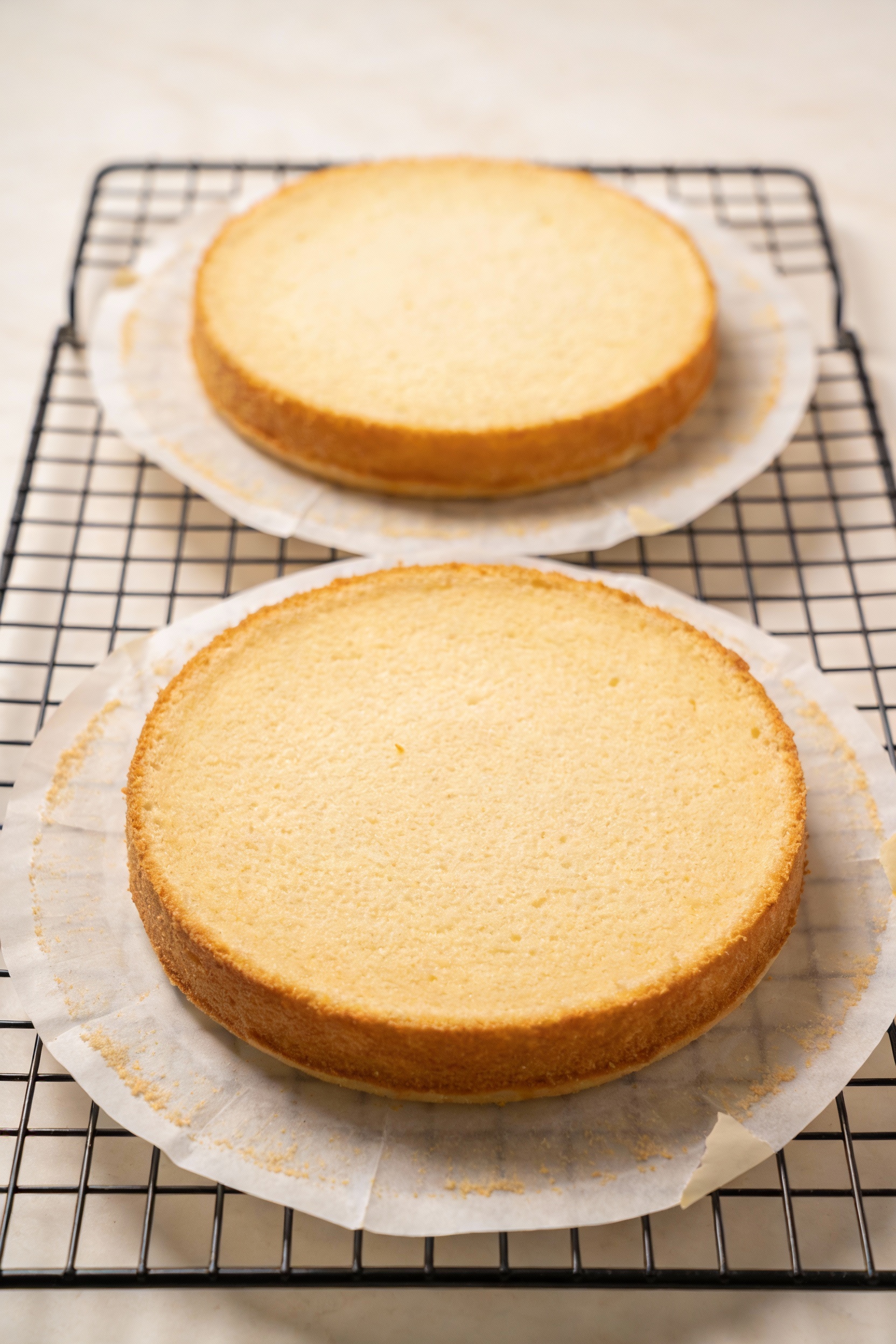 Cooking process: two 8-inch round cake layers cooling on a wire rack after baking, parchment circles peeled back with sl